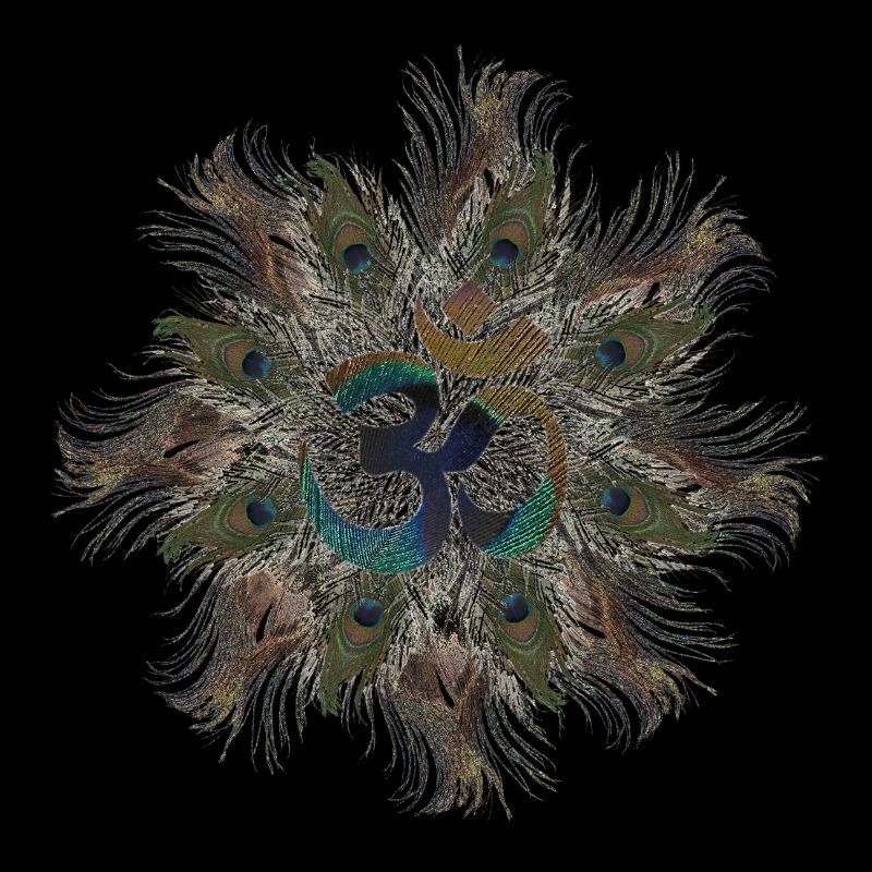 om_Pfau1