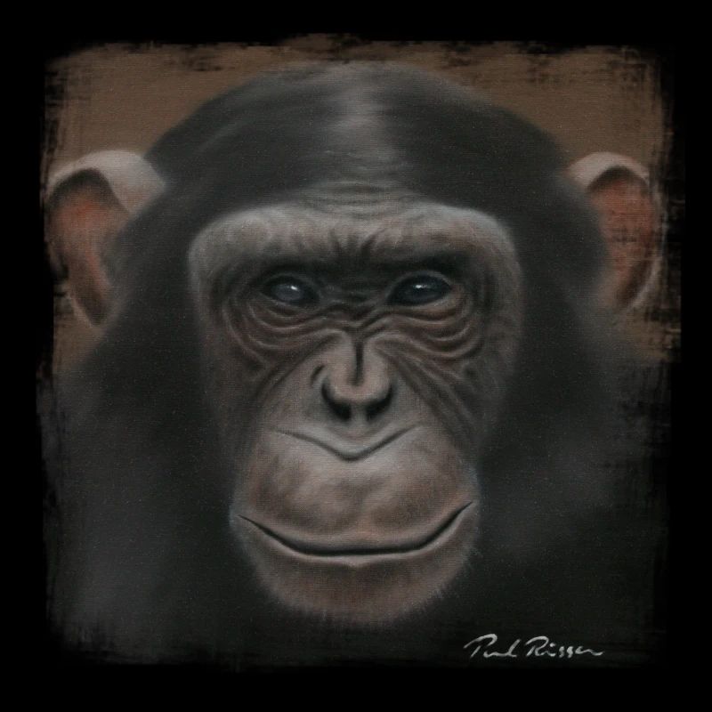 Chimpanzé