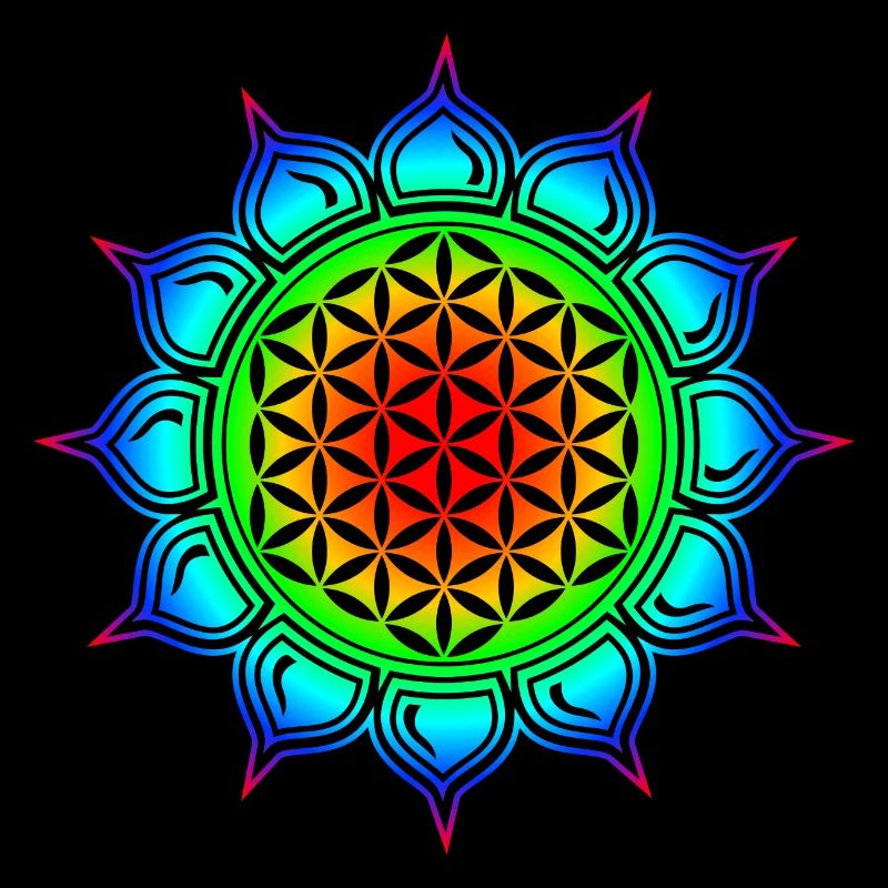 Blume des Lebens, Heilige Geometrie, Lebensblume