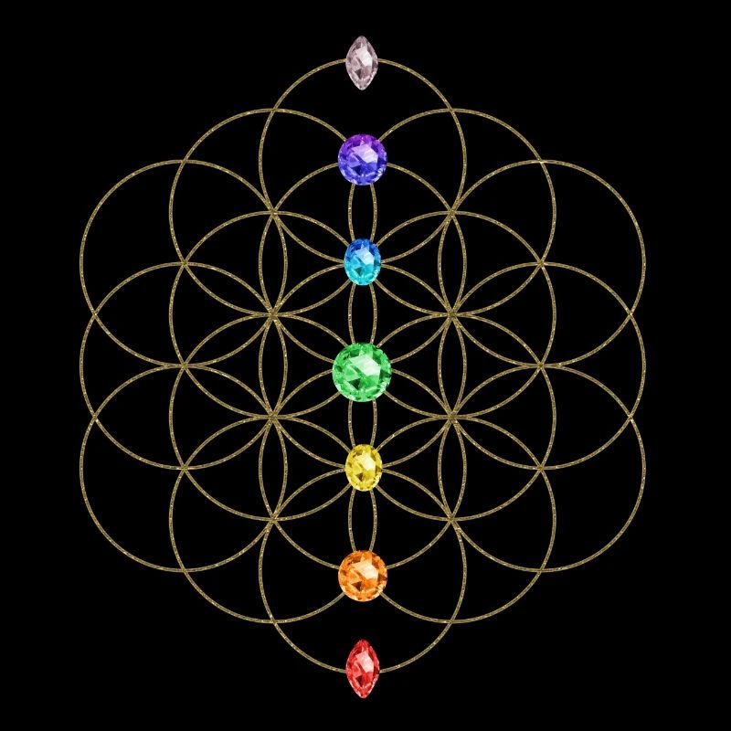 Blume des Lebens, Heilige Geometrie, Lebensblume