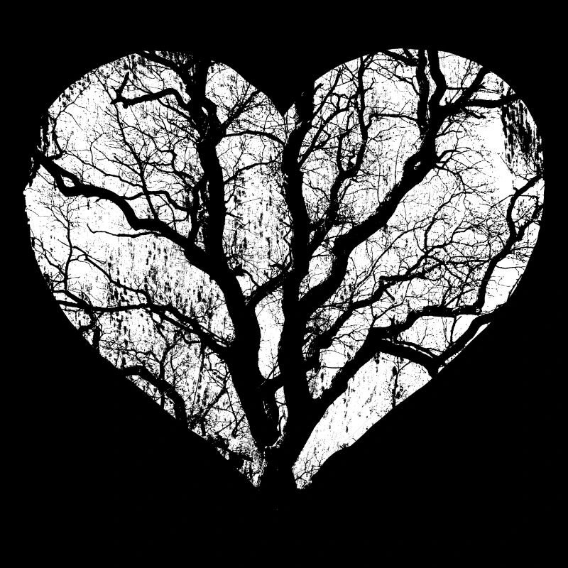 Baum Wald Natur Herz
