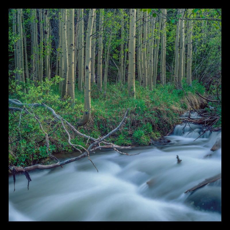 Rocky Mountains Fluss