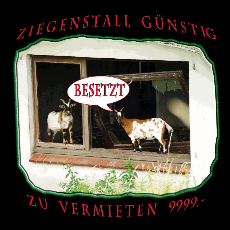 Wohnung Ziegenstall Satire schöner wohnen Satire