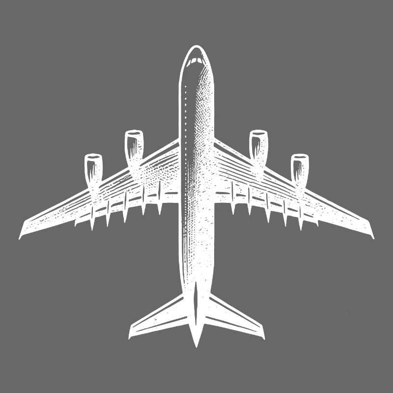 Airplane for Hobby RC Pilots Large RC Model