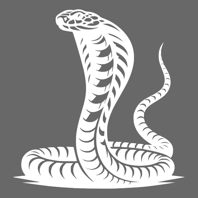 Cobra serpent cou bouclier menaçant posture conception