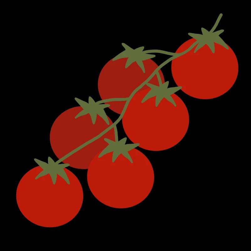 Kirschtomaten-Rebe