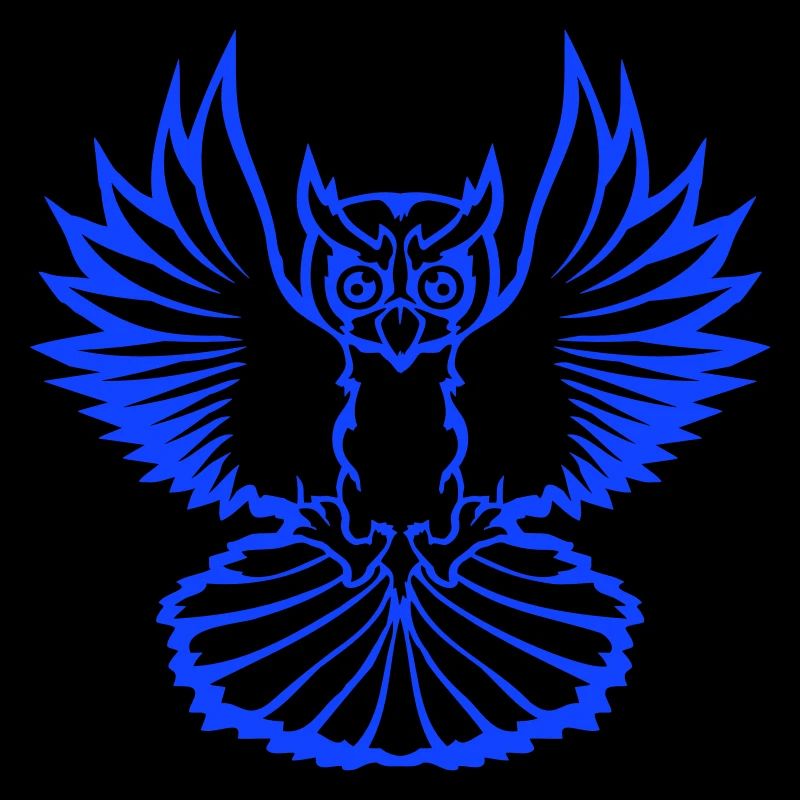 Owl Bird Eagle Owl Night Bird Barn Owl Flying Cool