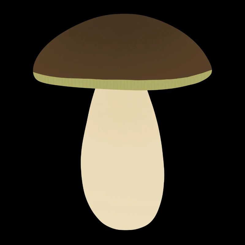 Cèpes