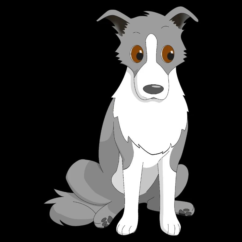 Border Collie Œil latéral