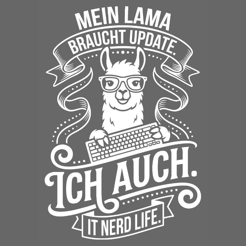 My llama needs an update