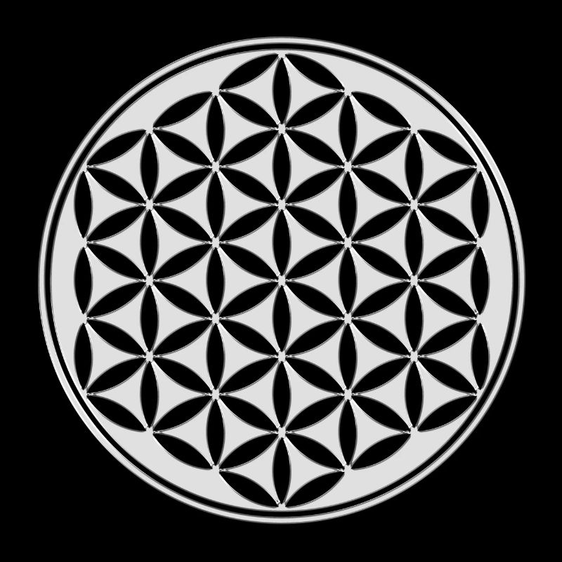 Blume des Lebens, Heilige Geometrie, Lebensblume