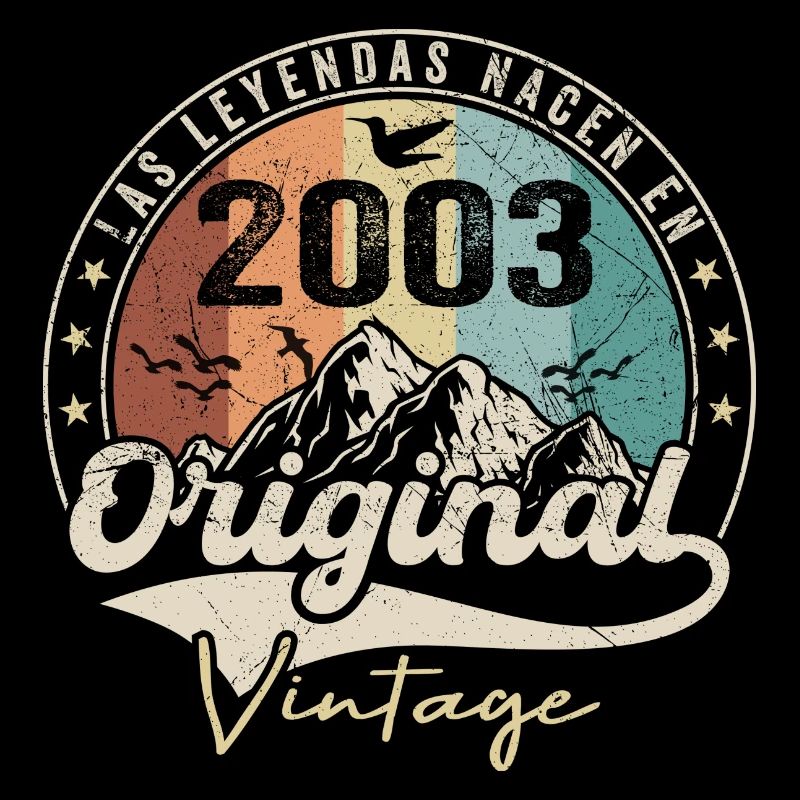 Retro 2003 Geburtstagsgeschenk 2003 Jahrgang 2003