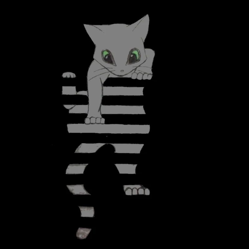 Coole Katze