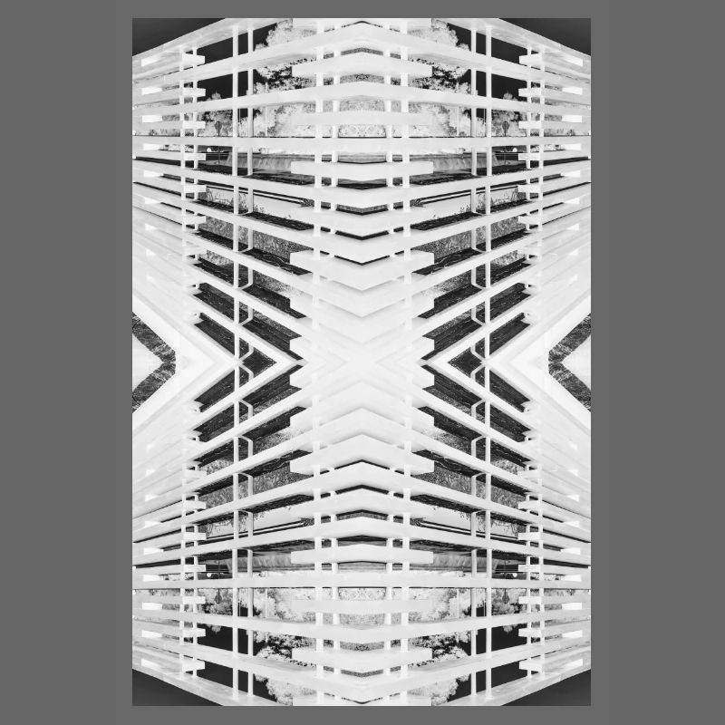 Bois abstrait V.2