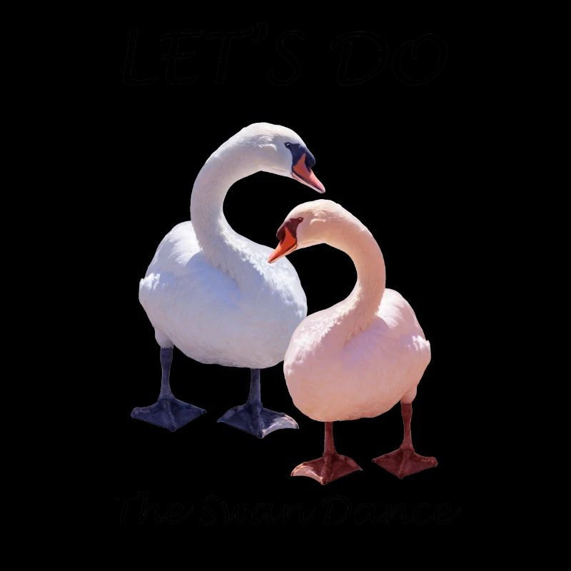 Cygne