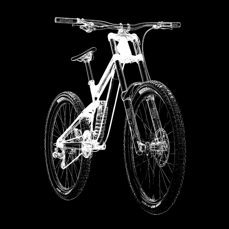 Fahrrad Xray