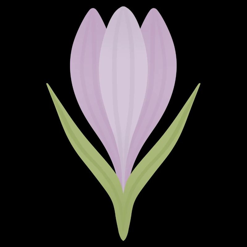 Lilac Crocus Bloom Illustration