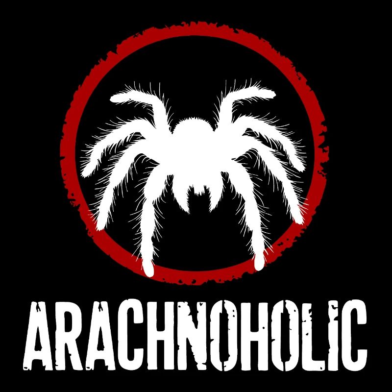 Silhouette de grande tarentule poilue arachnoholic