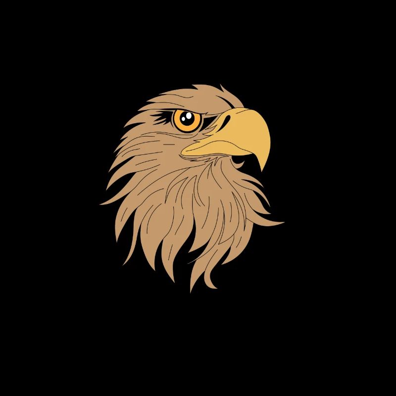 Bird of Prey Head Predator Eagle Falcon Hawk Hawk