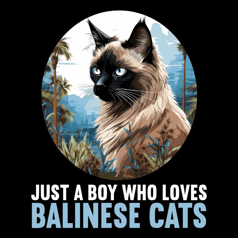 Balinese Cat Balinesenkatze