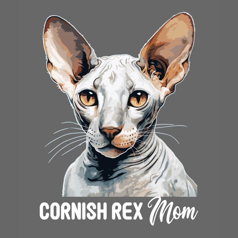 Cornish Rex Kätzchen Cornish Rex Katze