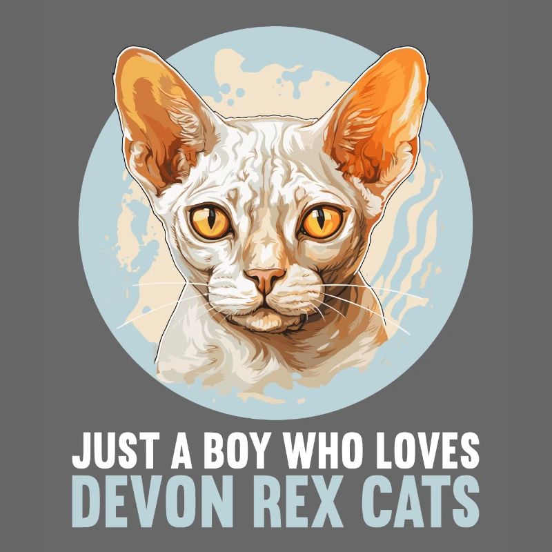 Devon Rex Kätzchen Devon Rex Katze