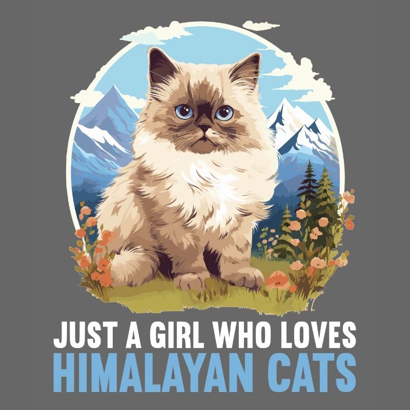 Himalayan Cat Colourpoint Katze