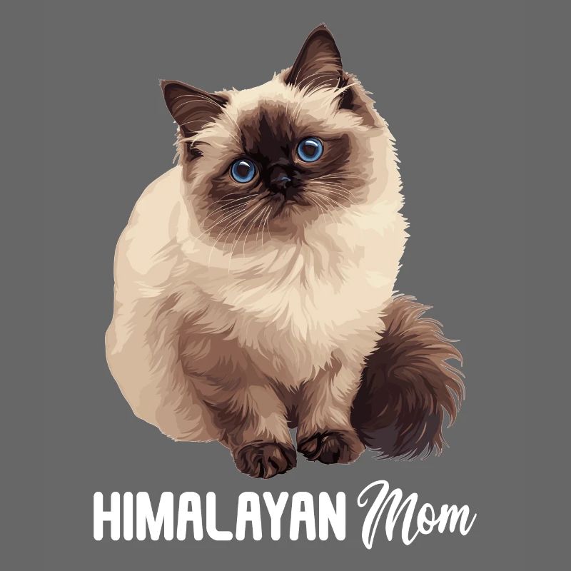 Himalayan Cat Colourpoint Katze