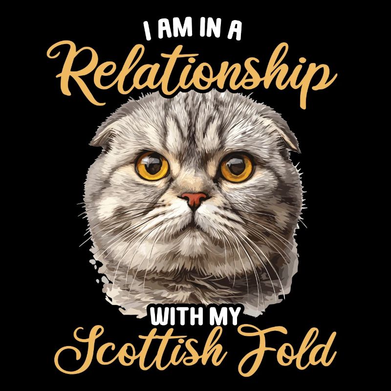 Scottish Fold Kätzchen Scottish Fold Katze