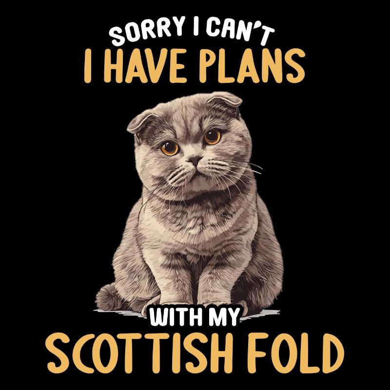 Scottish Fold Kätzchen Scottish Fold Katze