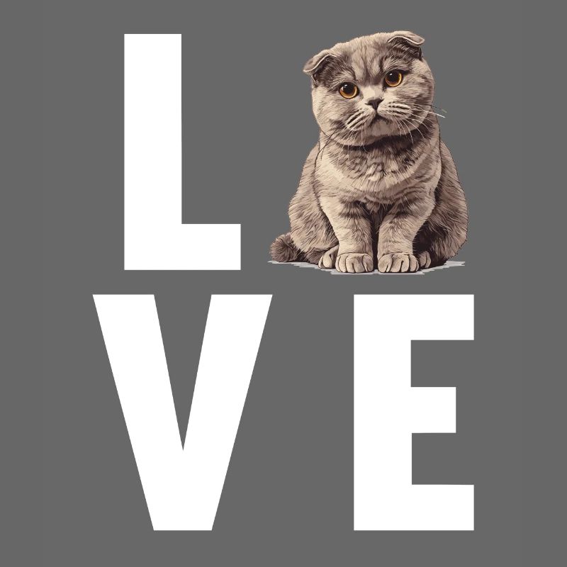 Scottish Fold Kätzchen Scottish Fold Katze