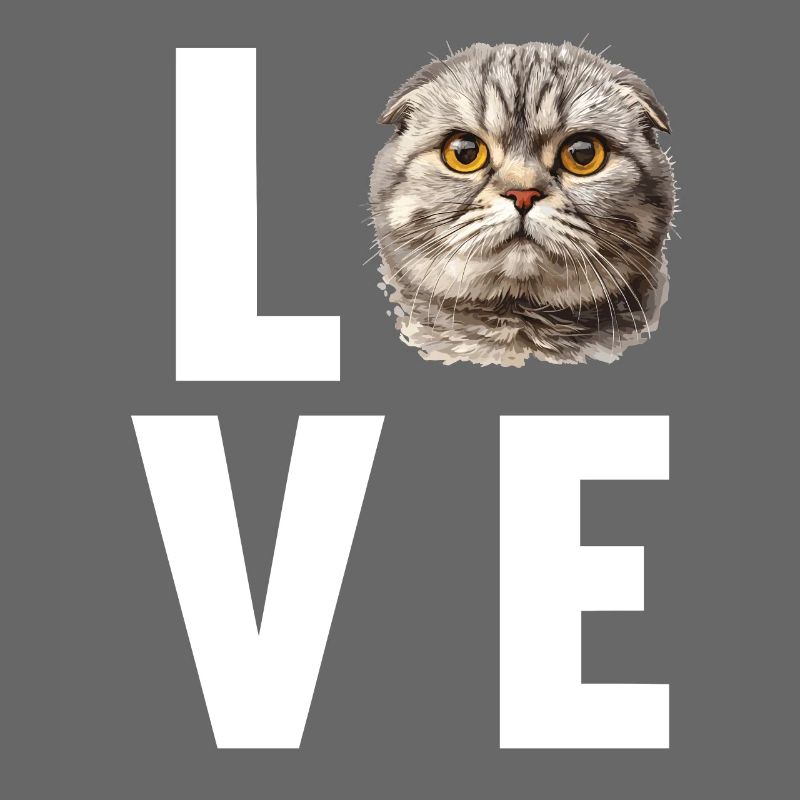 Scottish Fold Kitten Scottish Fold chat