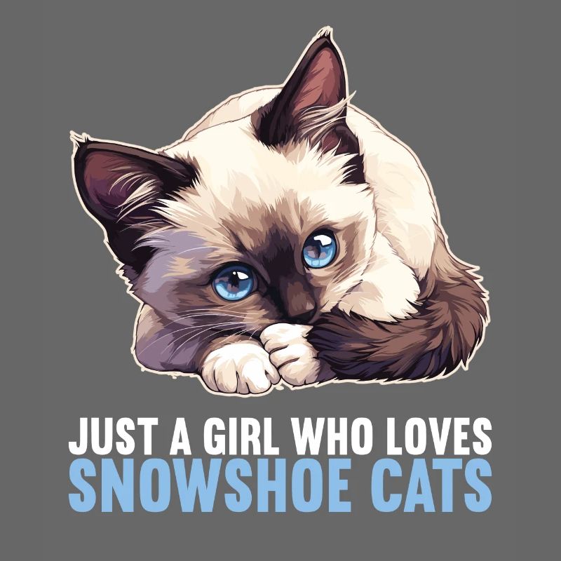Chaton raquette Chat raquette