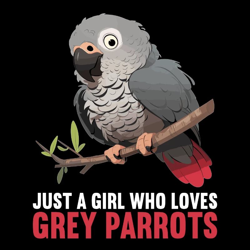 Perroquets gris d’Afrique