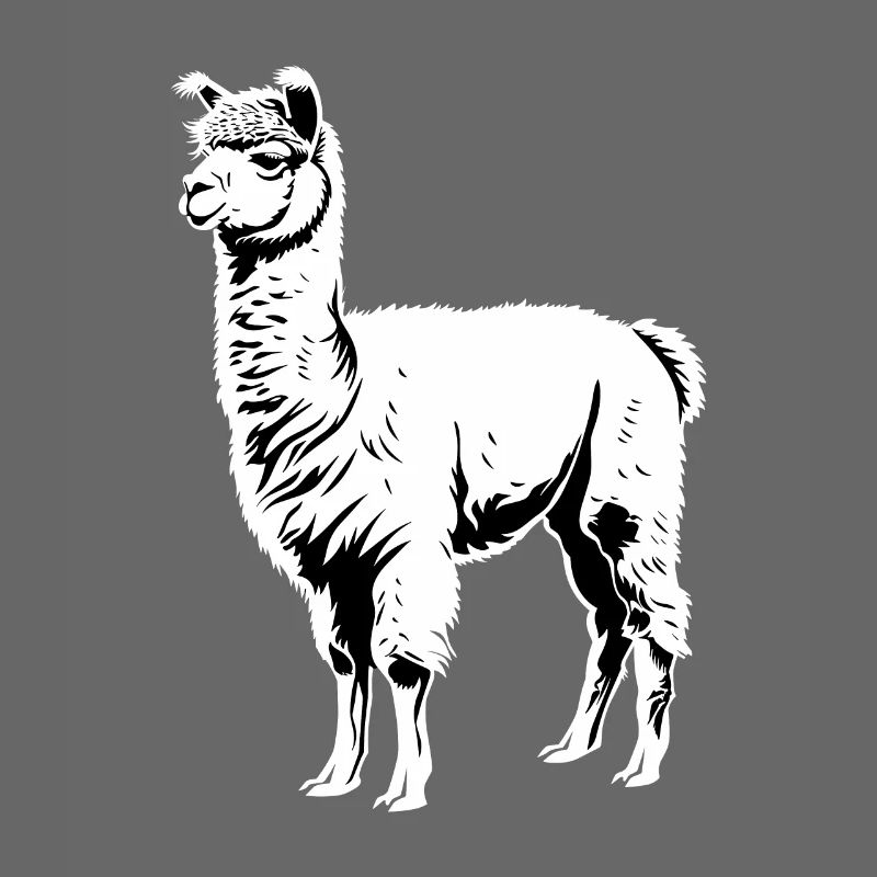 Alpaca Alpacas Alpaca