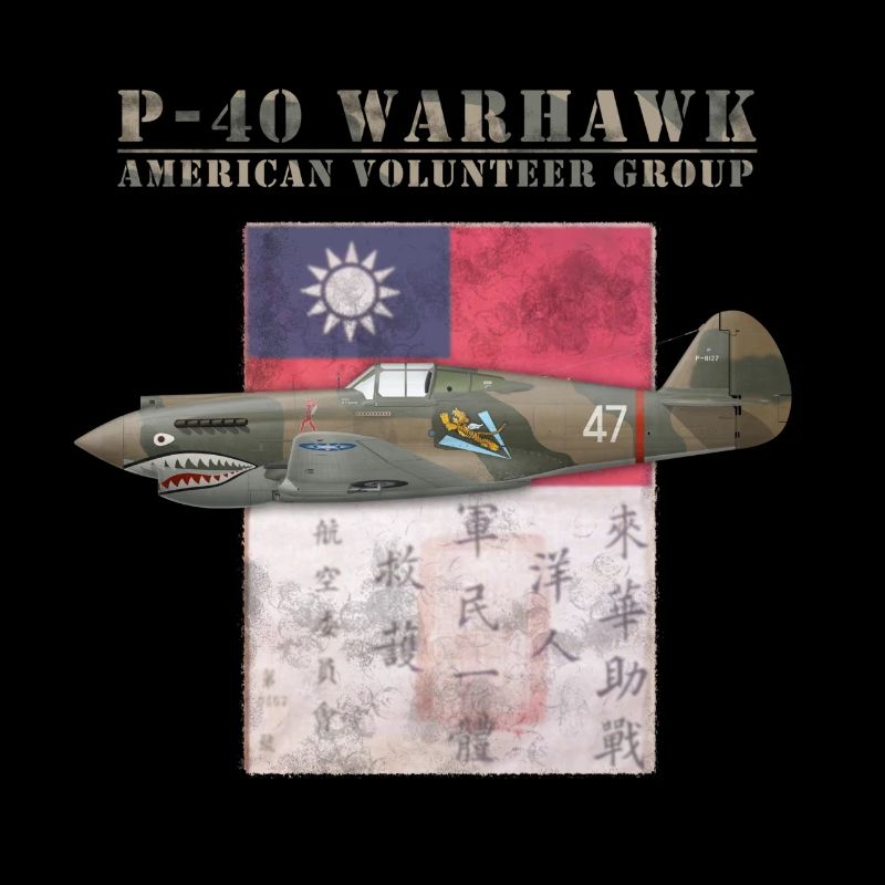 P-40 Warhawk Flying Tiger American Volunteer Group