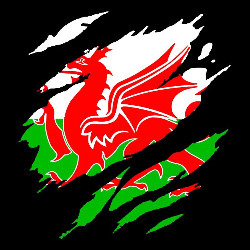 Ripped shirt welsh