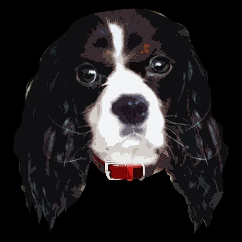 cavalierkingcharlesspaniel_face005