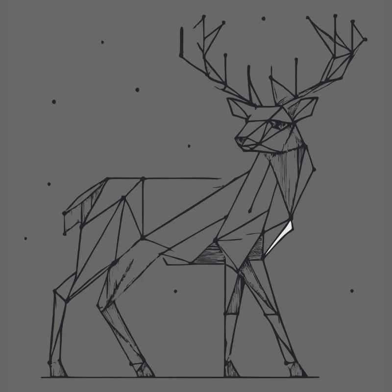 Hirsch 2D Linien