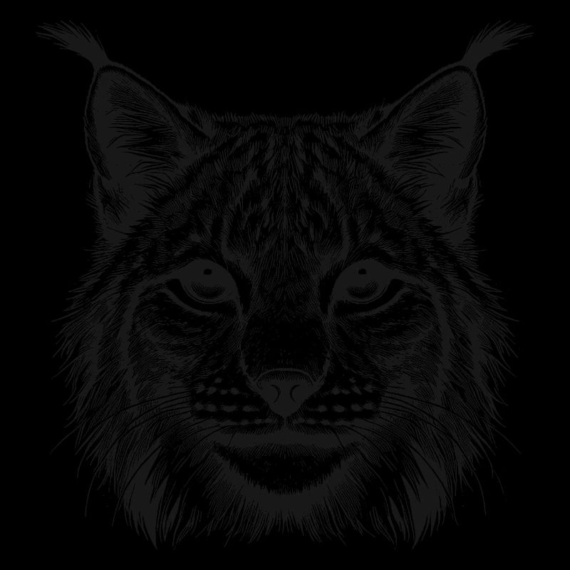 Lynx