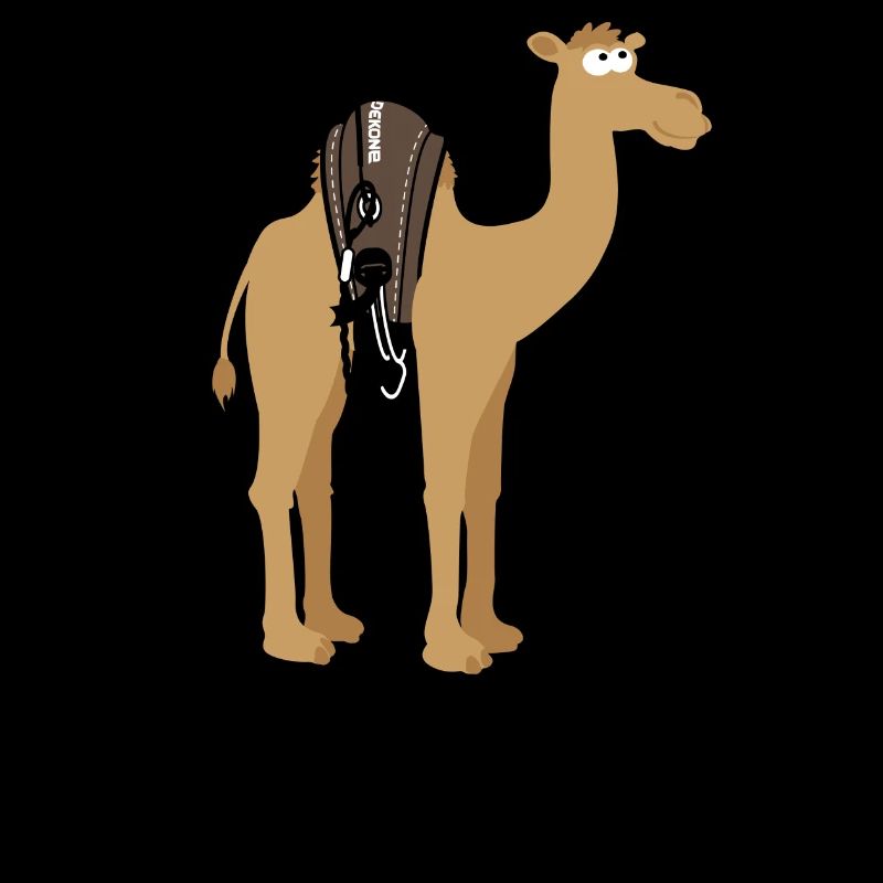 Dromadus Kitus Dakhla