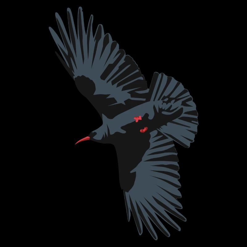 Red Billed Chough 1