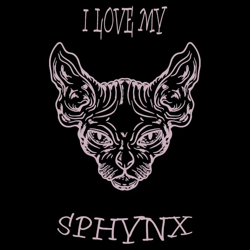 Nacktkatze Sphynx Katze