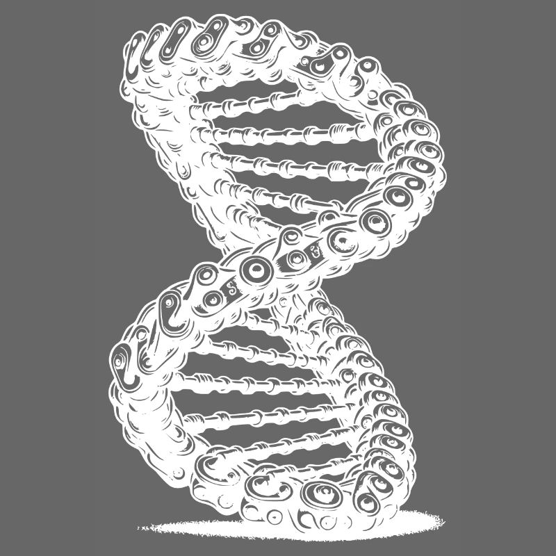 Möbius Loop Curved Chains DNA