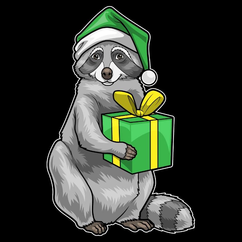 Raccoon Christmas Package