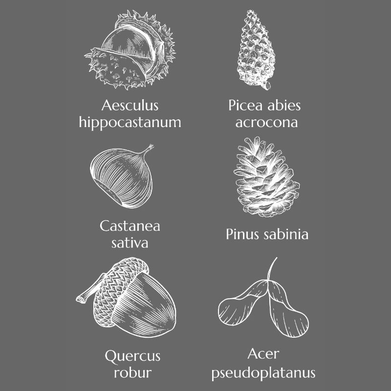Nature's Bitter Sagittarius - Minimalist & Timeless