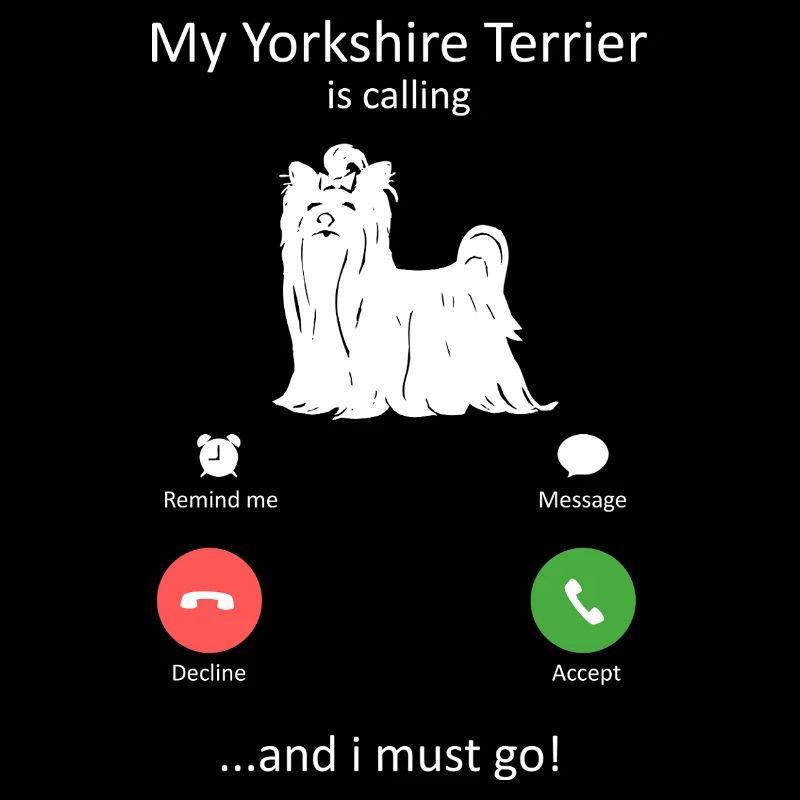 Écran téléphonique du Yorkshire Terrier appelant un amant de chien