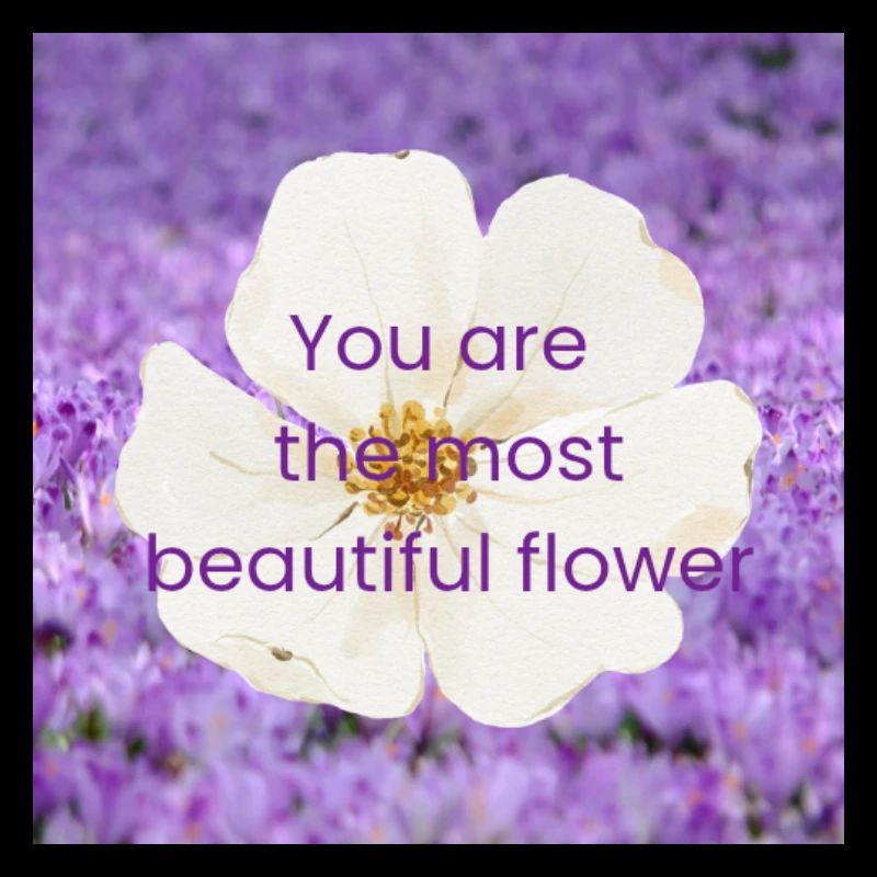 La plus belle fleur, c’est toi