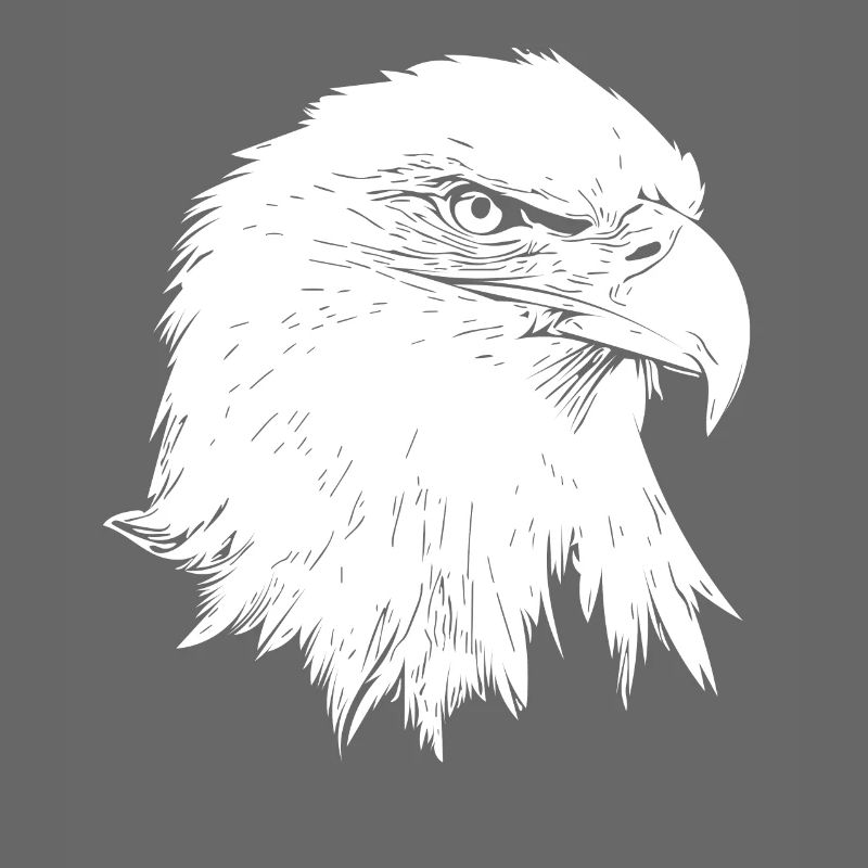 Eagle / Bald Eagle