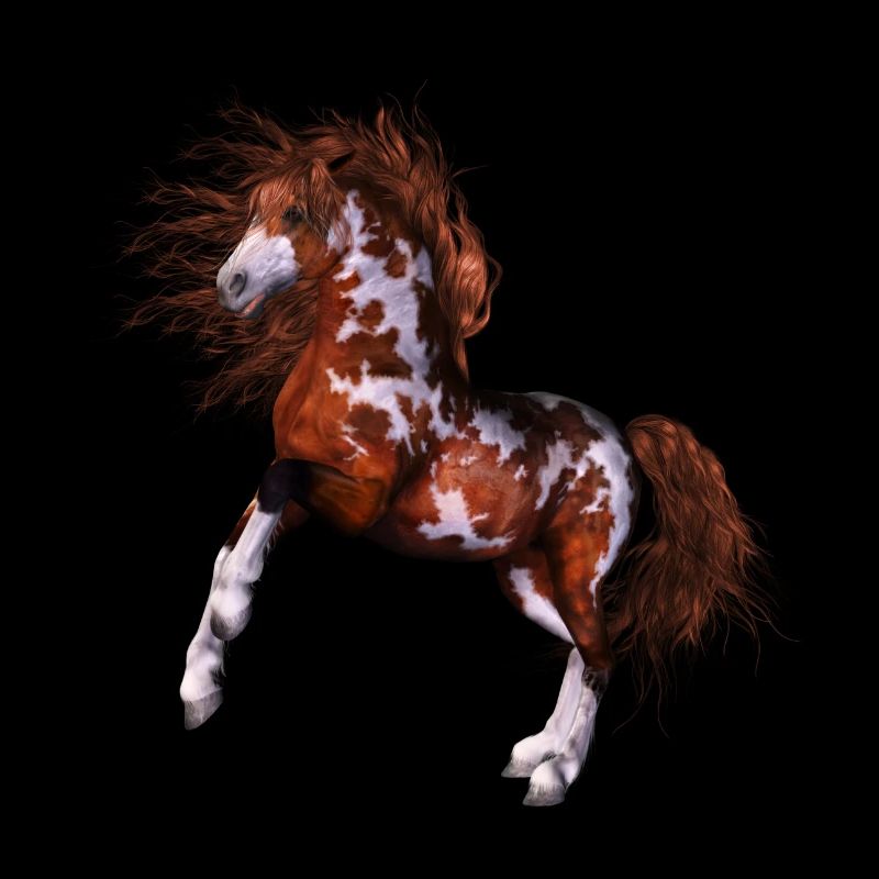 Native Horse